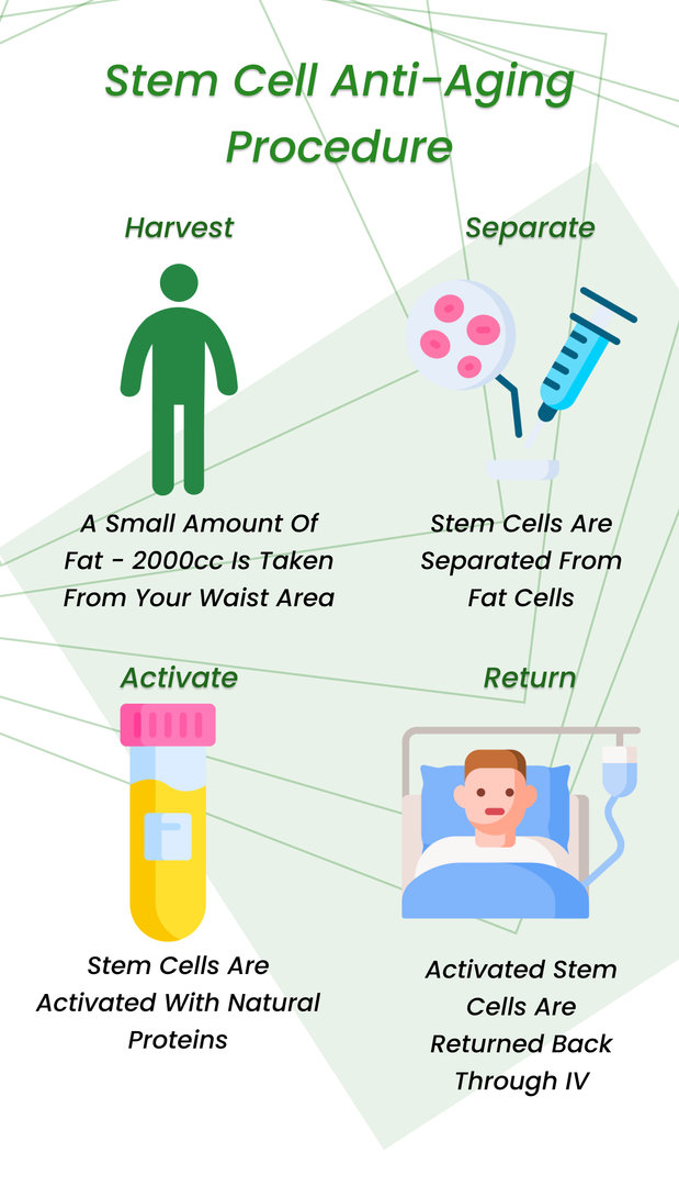 Stem Cell Therapy For Anti Aging Treatment