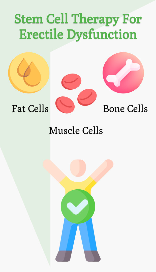 Stem Cell Therapy—the Latest Innovation in ED Treatment