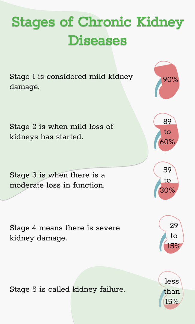 Stages of Chronic Kidney Diseases