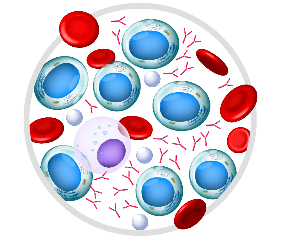 What Is The Cost Of Blood Cancer Treatment In India Clinicspots