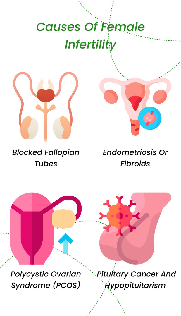 Causes of female infertility