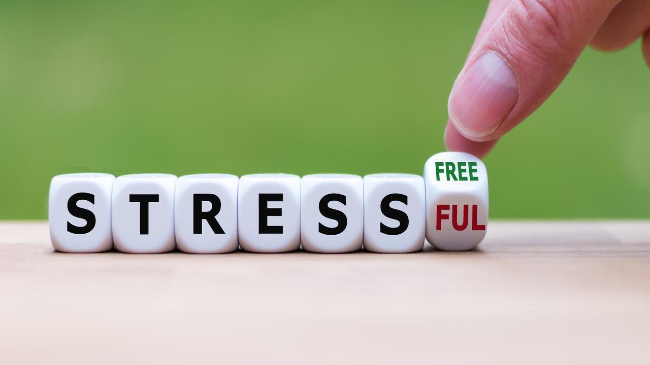 causes of stress