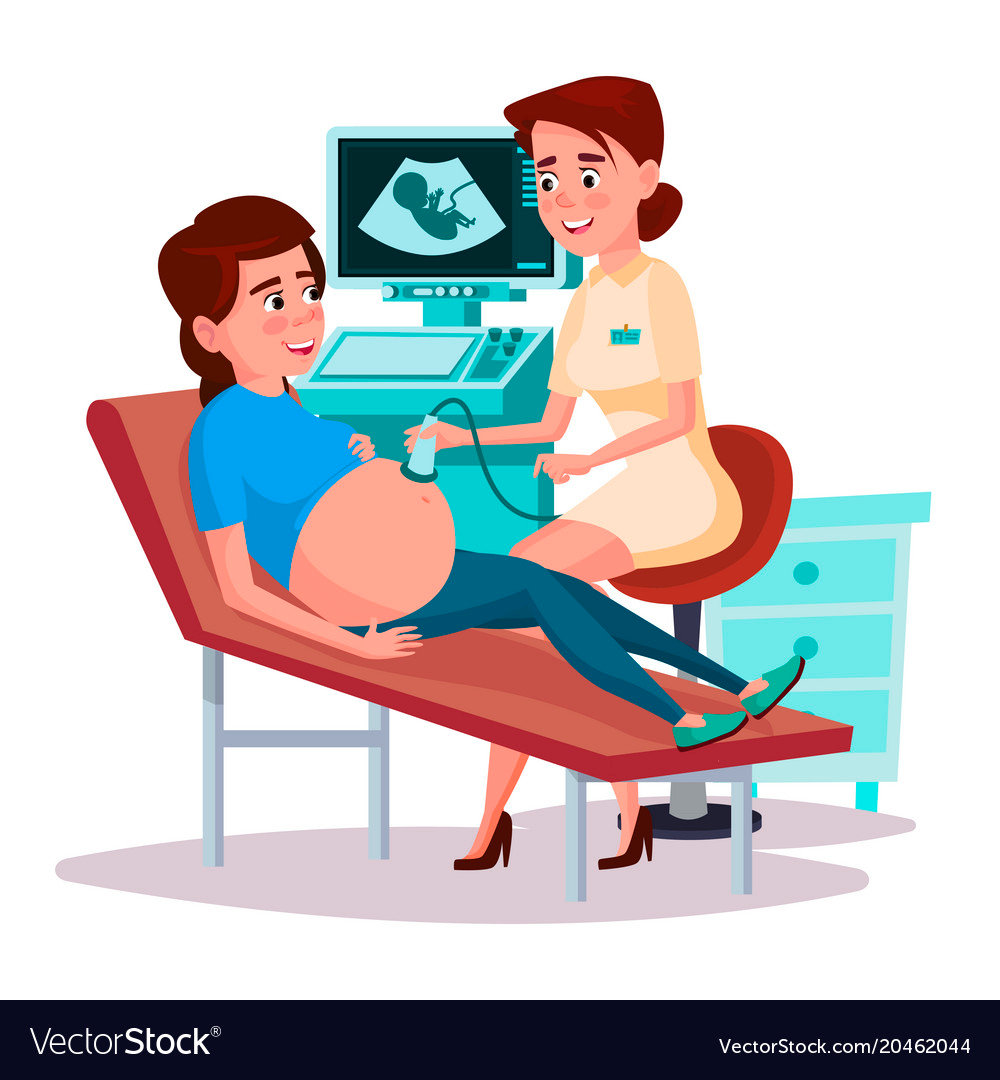 Cartoon ultrasound pregnancy screen concept Vector Image
