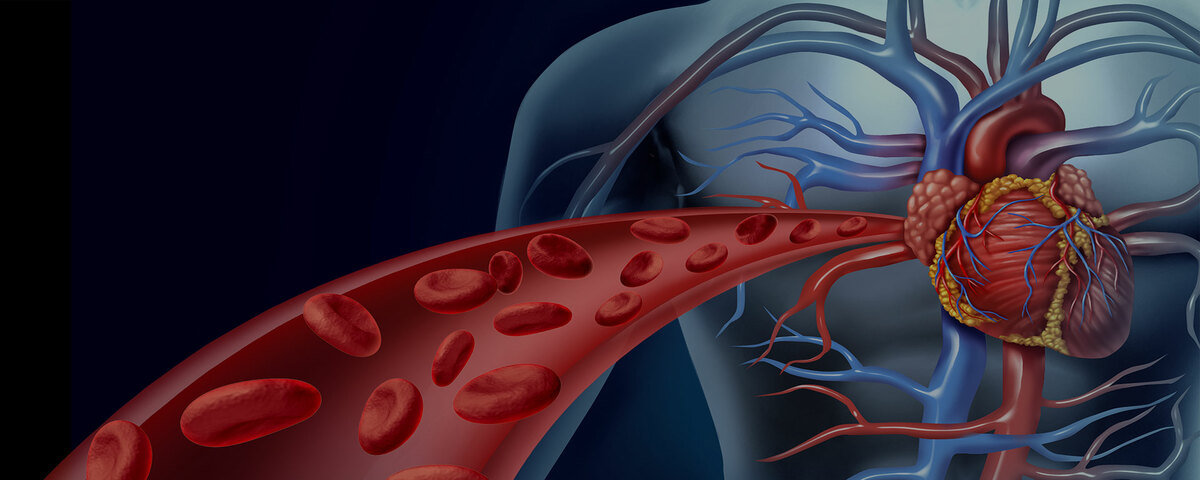 heart-hole-treatment-by-dr-yogesh-jadhav-homeopathy-clinic-in-aurangabad