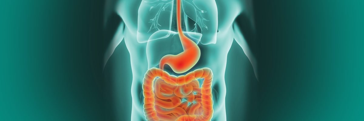 Gastroenteritis Gastroenteritis