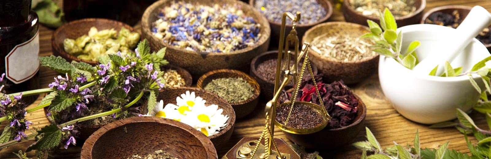 Ayurveda treatment for neck pain Ayurveda treatment for neck pain