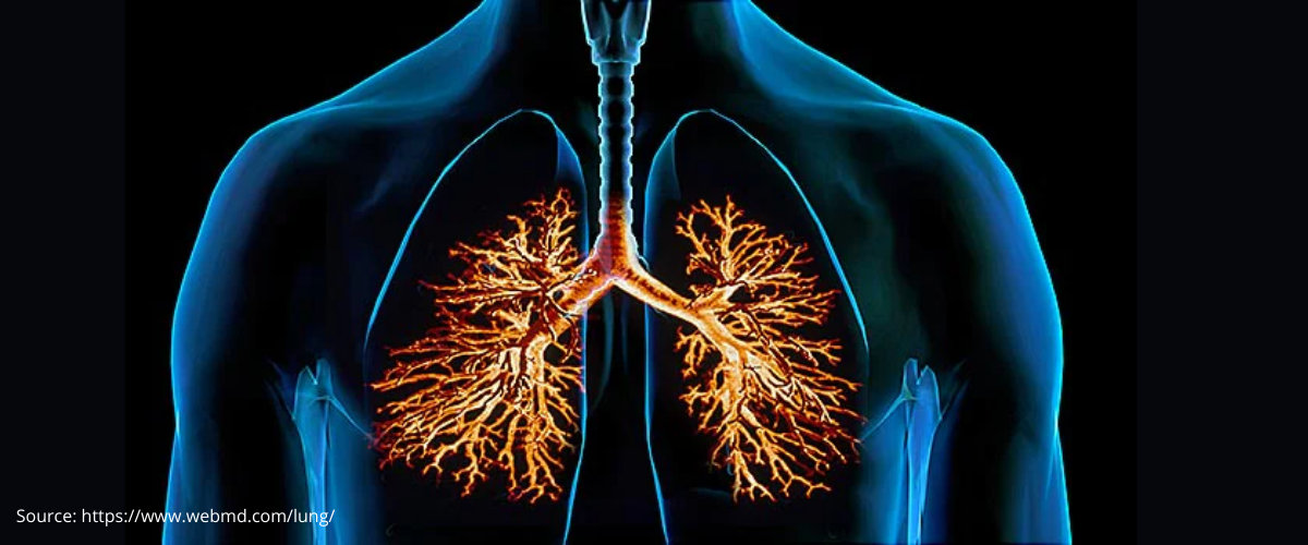 Bronchitis Treatment in Pune Bronchitis Treatment in Pune