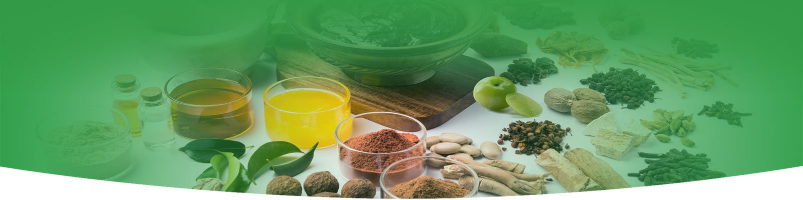 Ayurvedic Detoxification in Vashi, Navi Mumbai Ayurvedic Detoxification in Vashi, Navi Mumbai