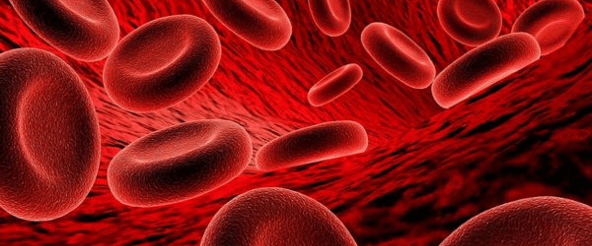 Anaemia Causes and Treatment Anaemia Causes and Treatment