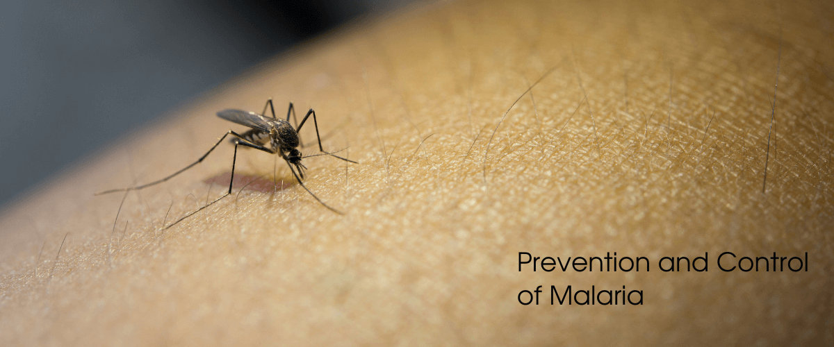 Malaria Prevention and Control Malaria Prevention and Control