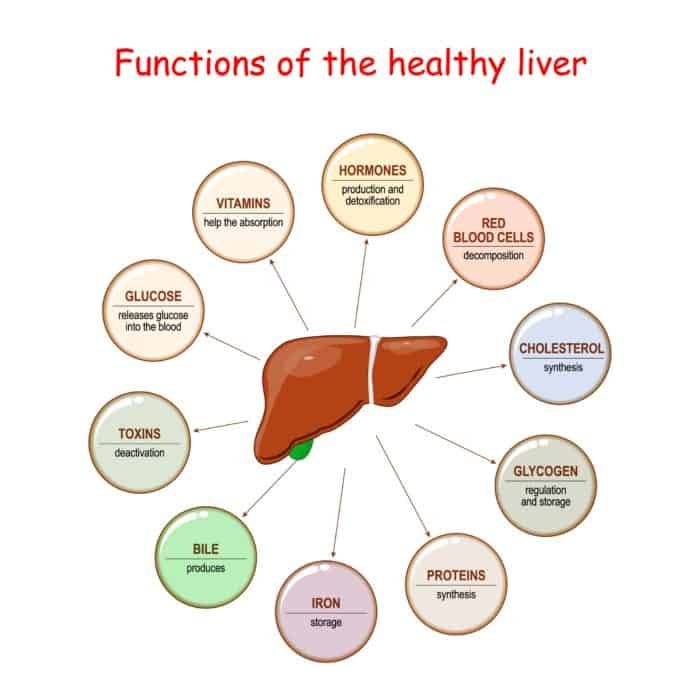 Function Ruins Your Health