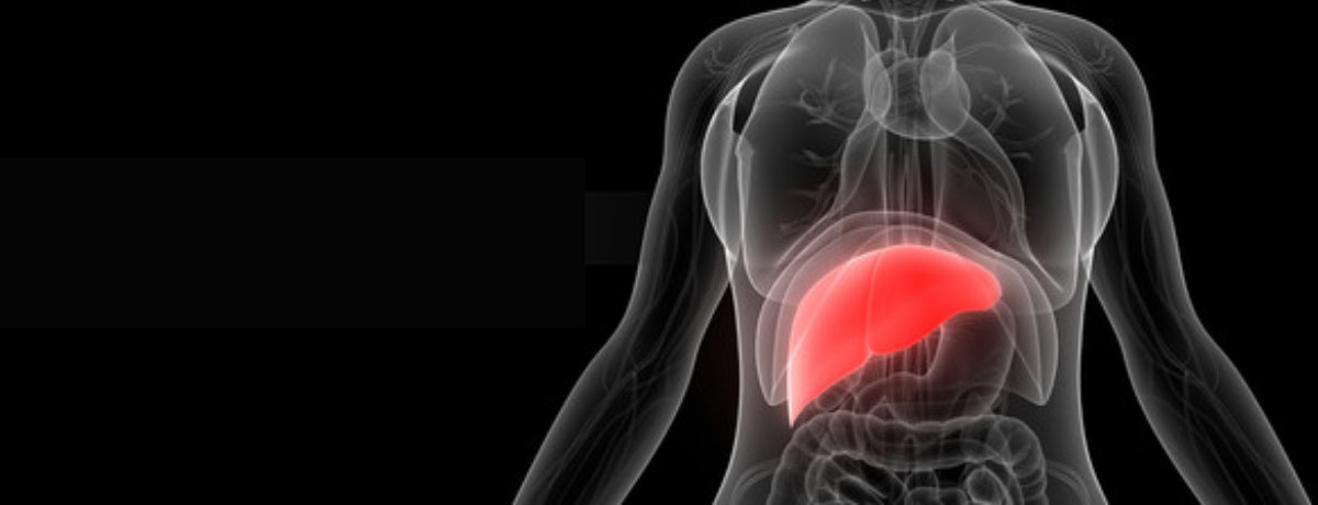 Alcohol Impact Liver Health Alcohol Impact Liver Health