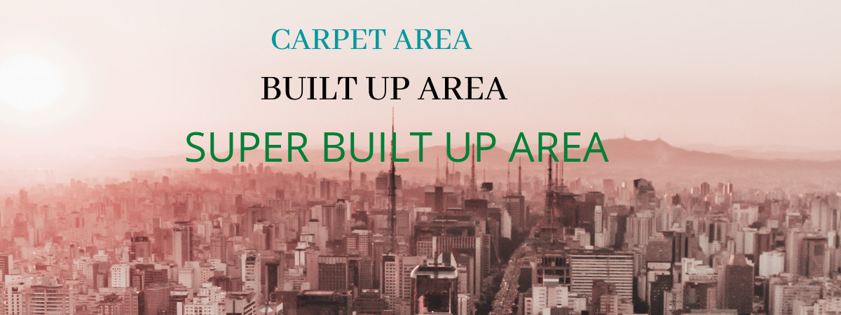 Carpet area built up area super built-up area Carpet area built up area super built-up area