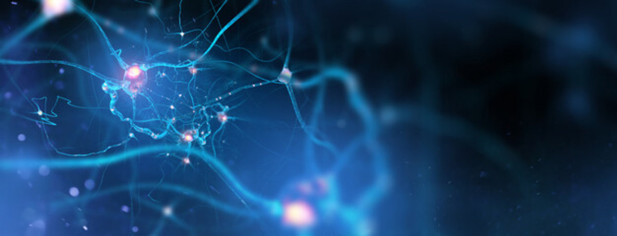 What are Nerve Injuries? What are Nerve Injuries?