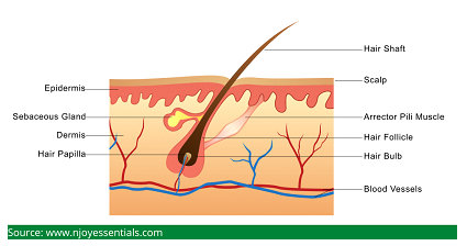 hair loss