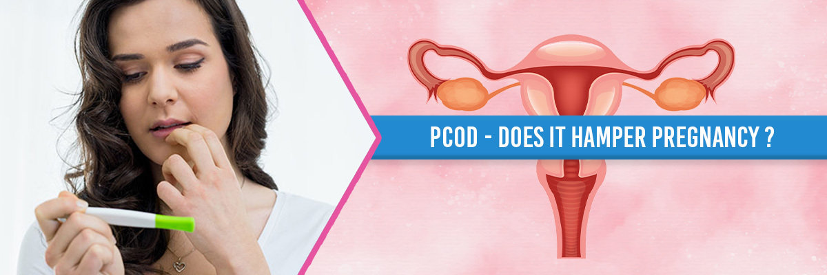 PCOD - Does it Hamper Pregnancy PCOD - Does it Hamper Pregnancy
