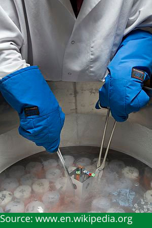 Cryopreservation 