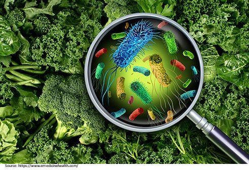 Causes of Food Poisoning