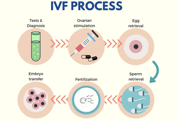 process for IVF