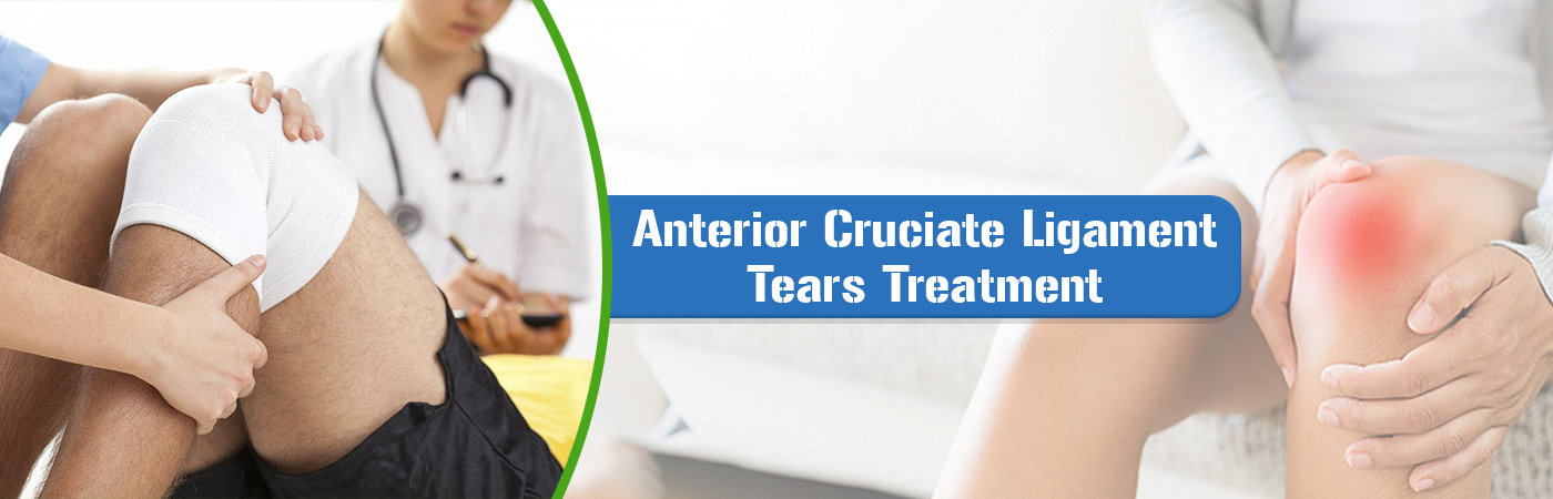 Anterior Cruciate Ligament Anterior Cruciate Ligament
