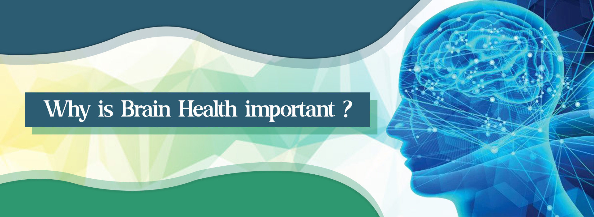 Brain Health Important Brain Health Important