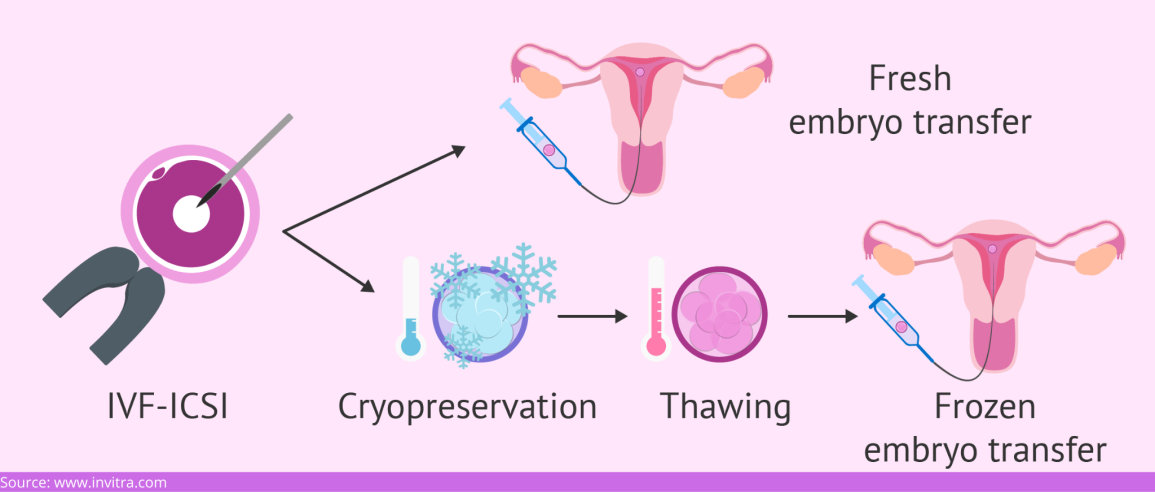 16 Stay Organized! During IVF Cycles. ideas