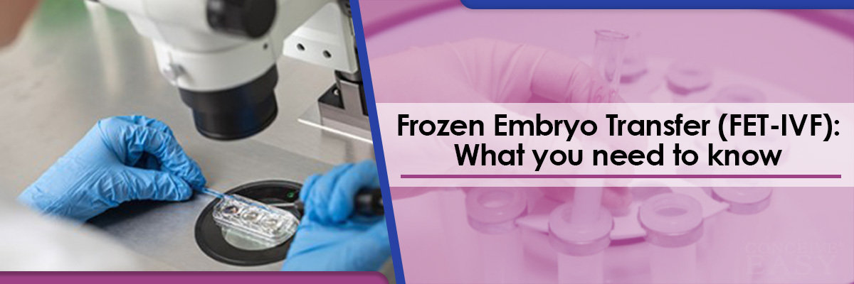 Frozen Embryo Transfer (FET-IVF) Frozen Embryo Transfer (FET-IVF)