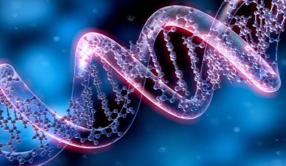 genetics