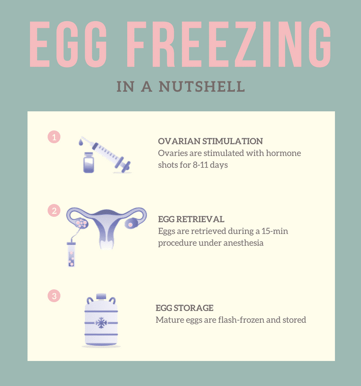  egg freezing