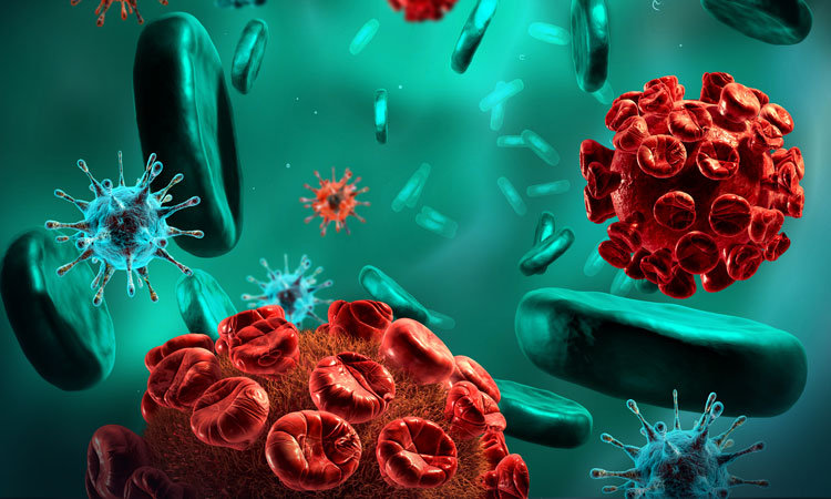 Autoimmune Diseases Autoimmune Diseases