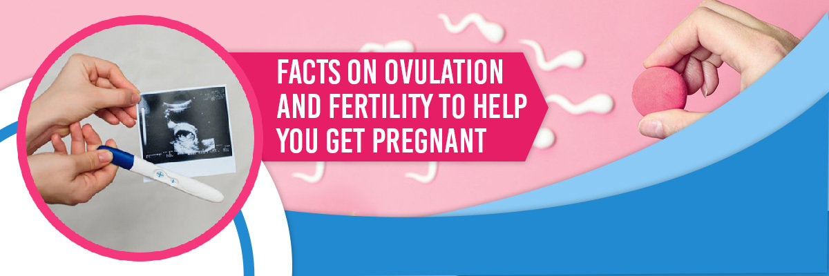 Fertility Fertility