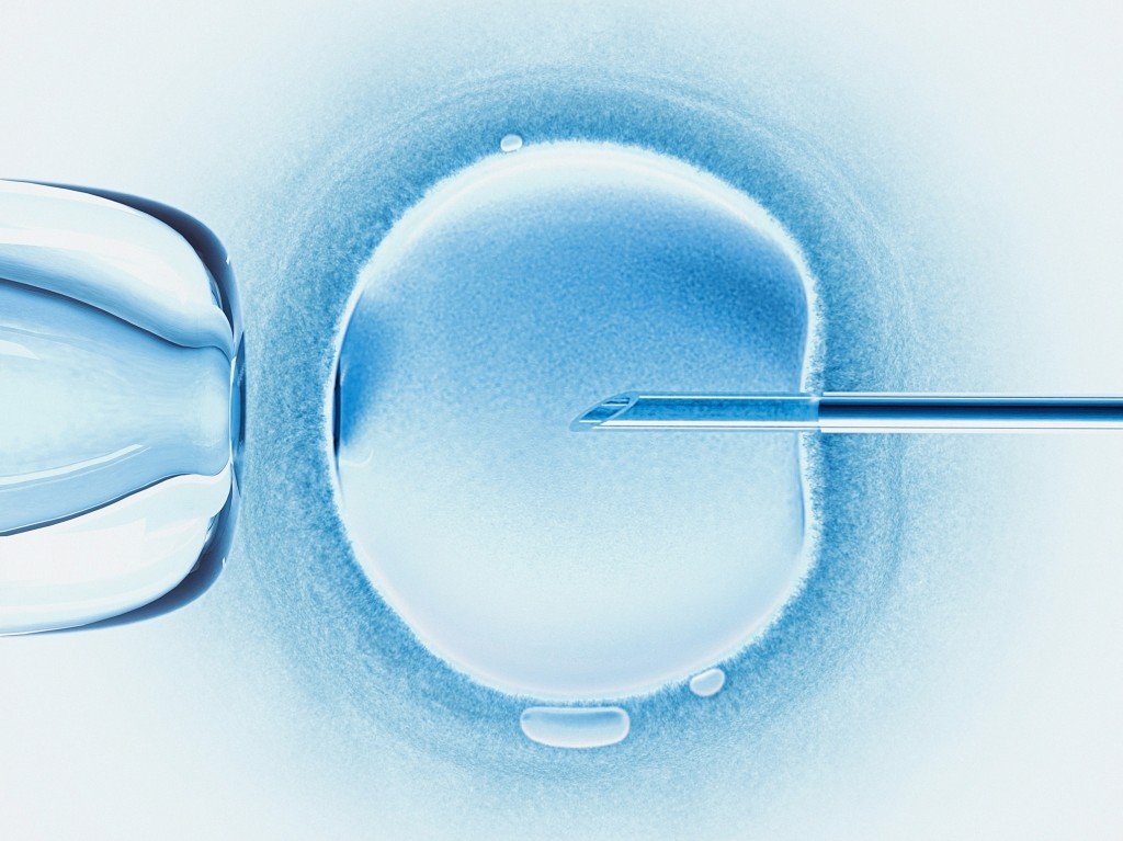 freeze eggs