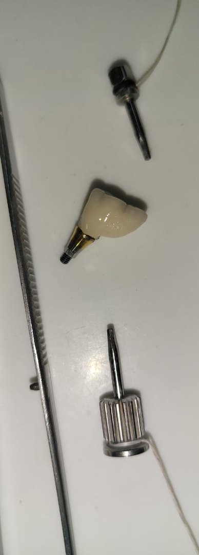 Shining finished implant crown Shining finished implant crown