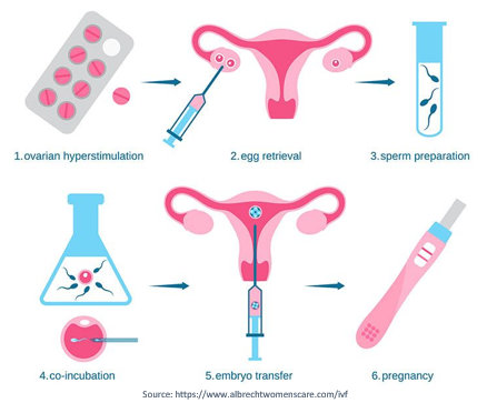 ivf treatment in mumbai