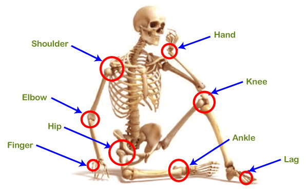 Types of Joints - Javatpoint