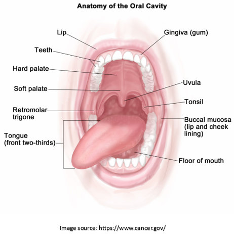 Overview of Precancerous Oral Cancer | Dr. Sandeep Nayak