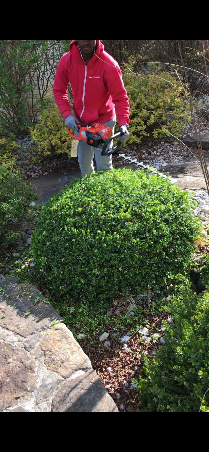 Tree & Shrub Services | Expert Landscaping - Chase Lawn Care