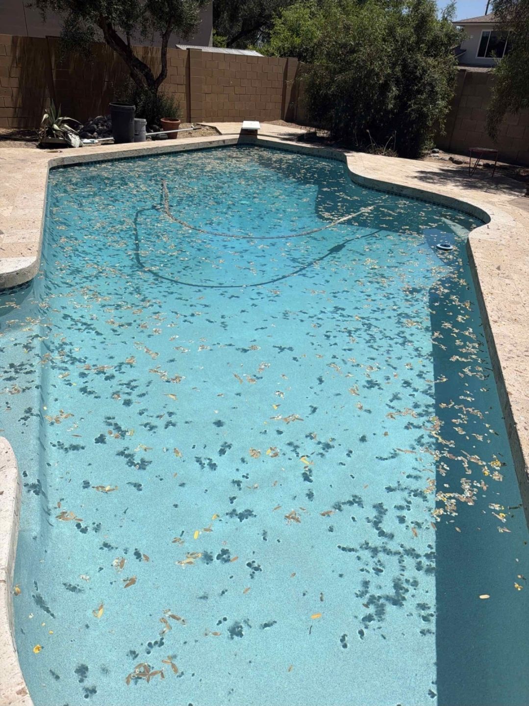 Pyro Pool Care Phoenix Pool Cleaning That Keeps the Debris Out for Good | Invictus ...
