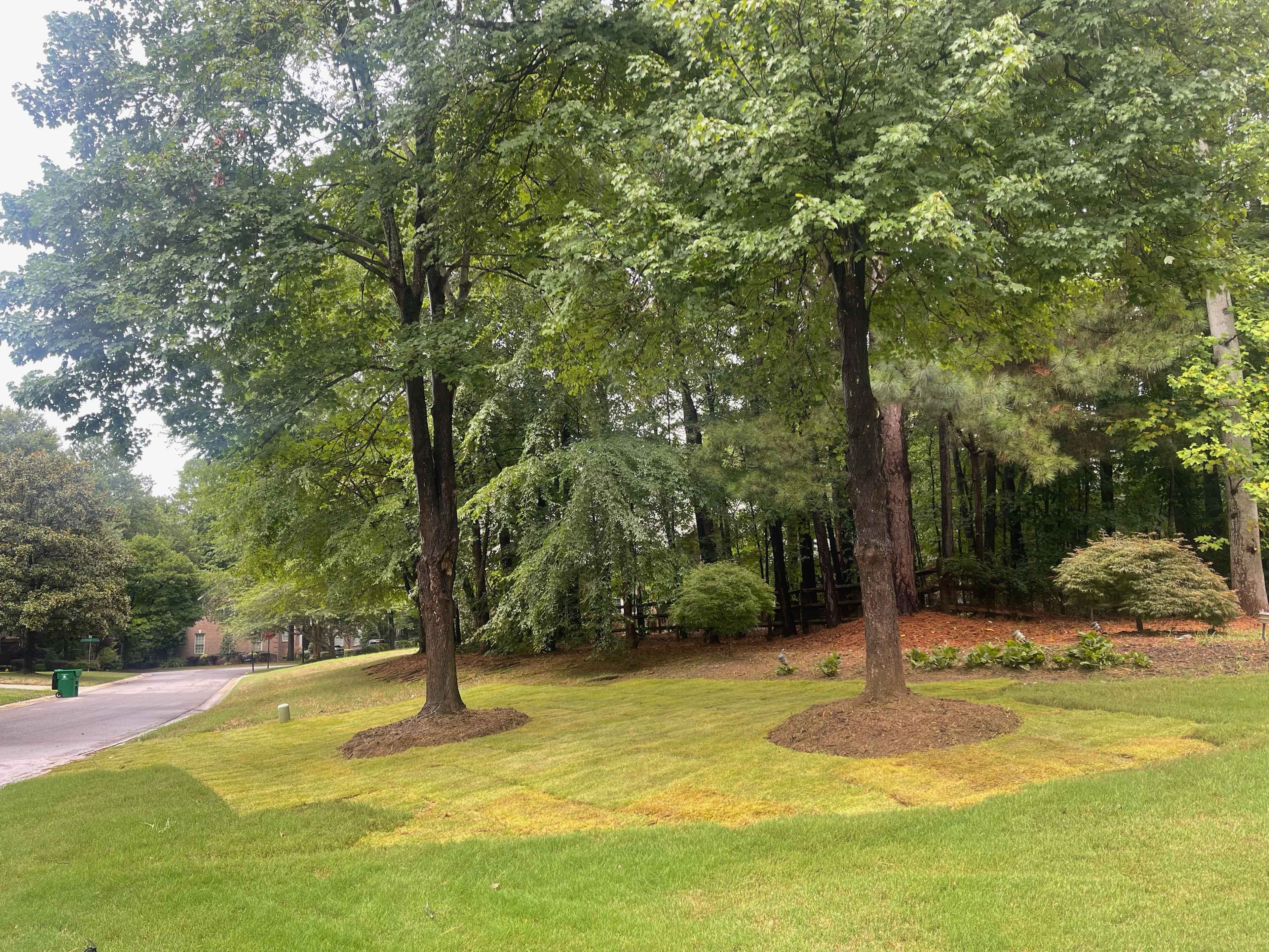 Sod Installation image