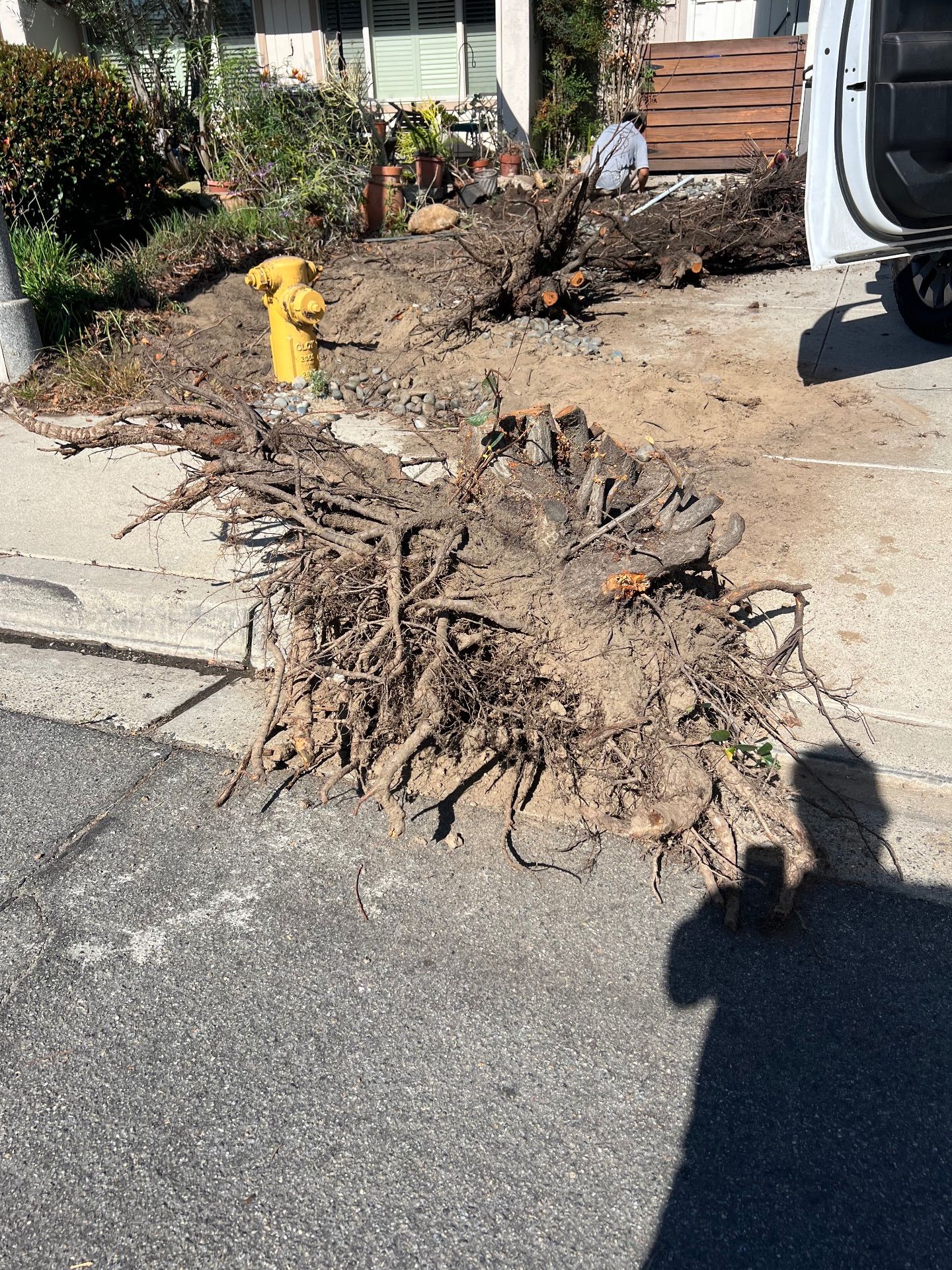 Junk Removal Solana Beach CA | Junk and Trash Hauling SD