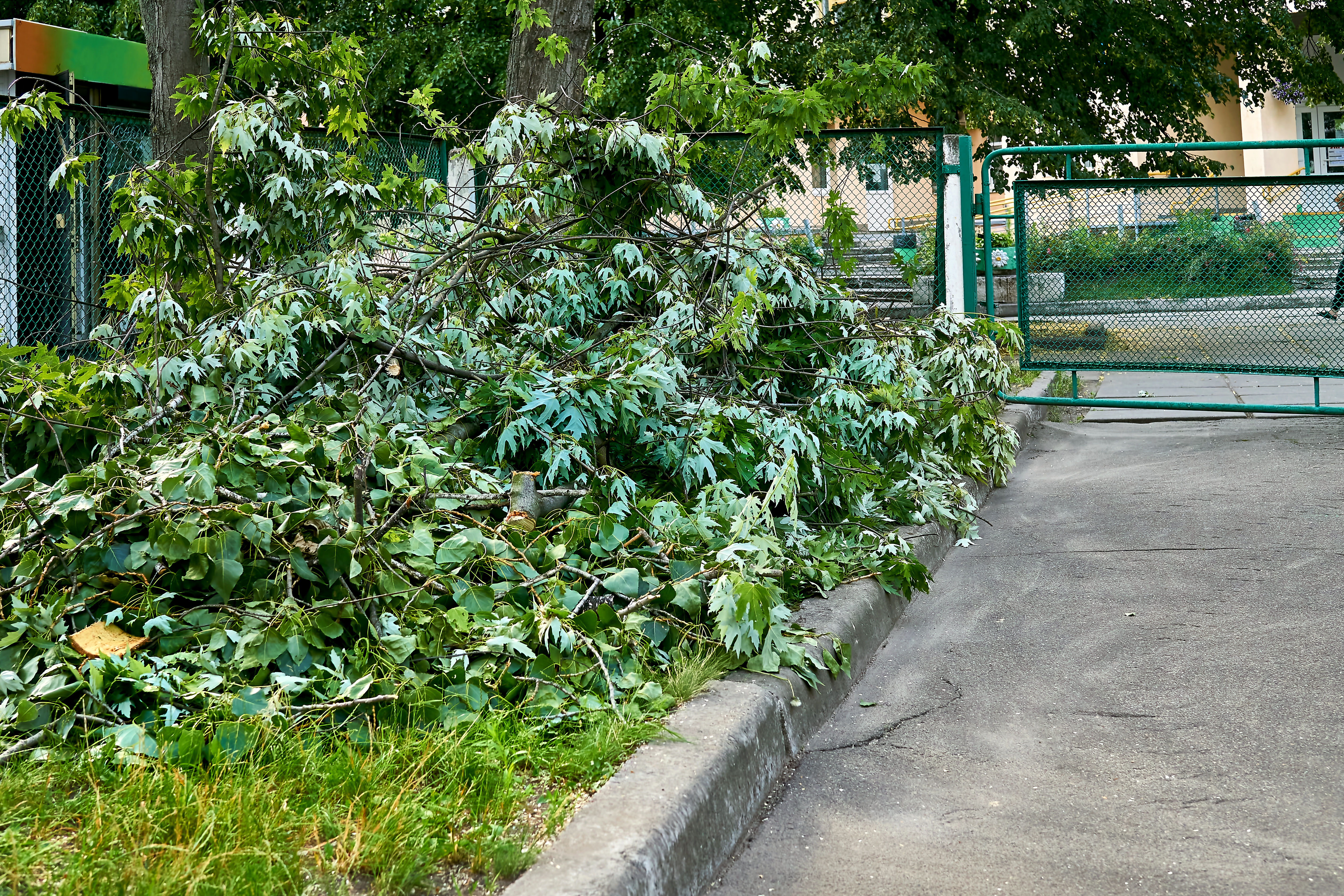 Brush Removal Services in Quakertown - Alderfer Tree LLC