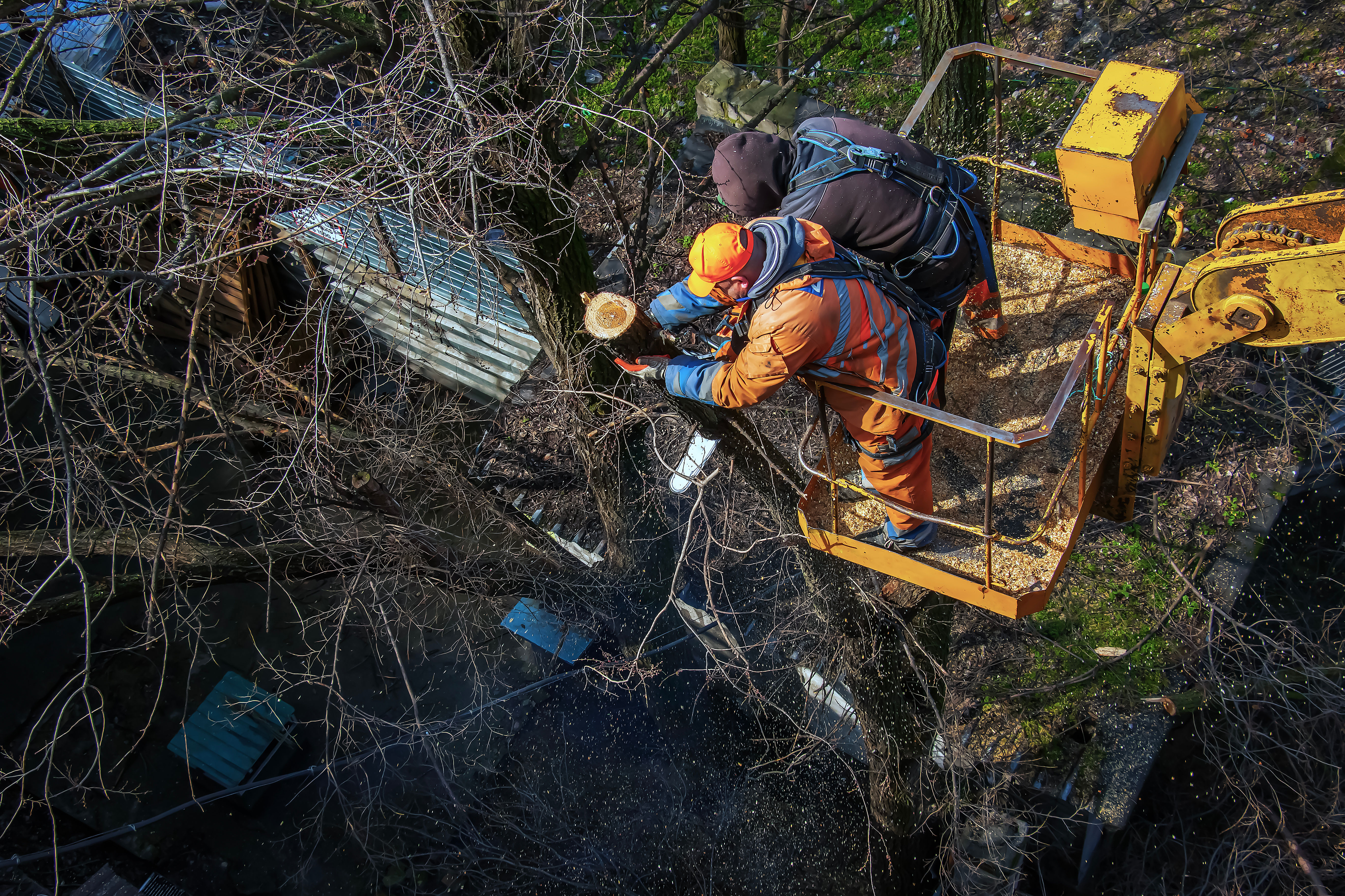 Emergency Tree Services 24/7 | Quick Response - Alderfer Tree LLC