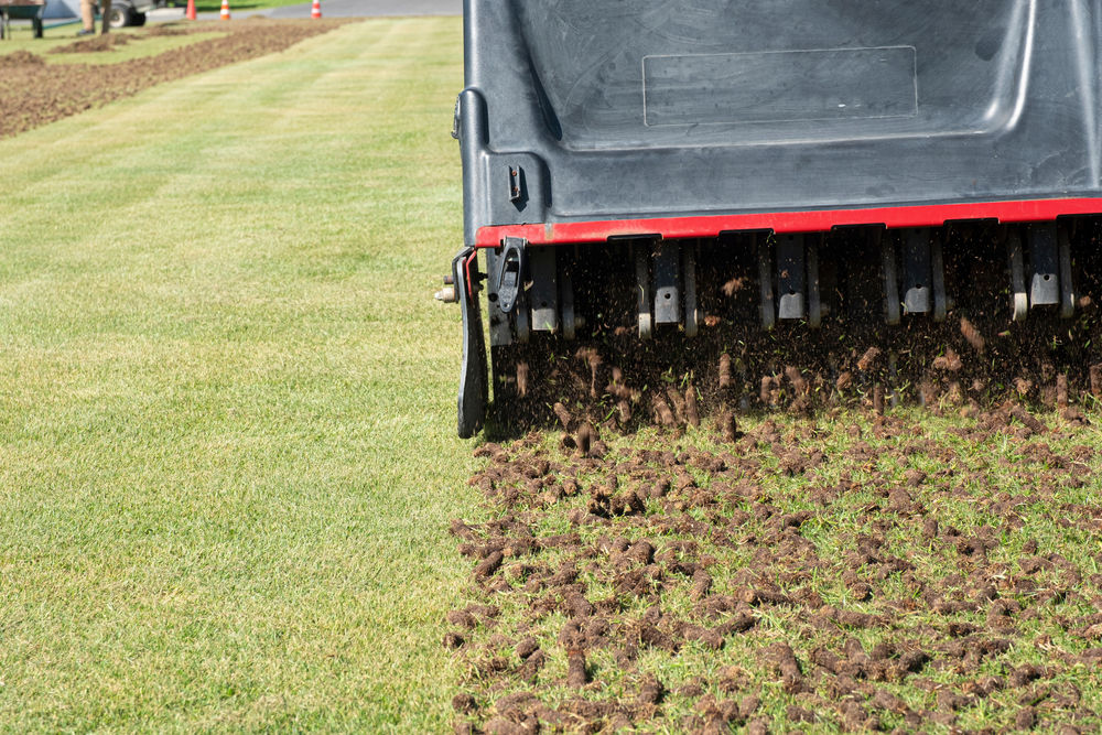 Dethatch & Aeration Services | Lawn Care Experts - Edge Landscaping