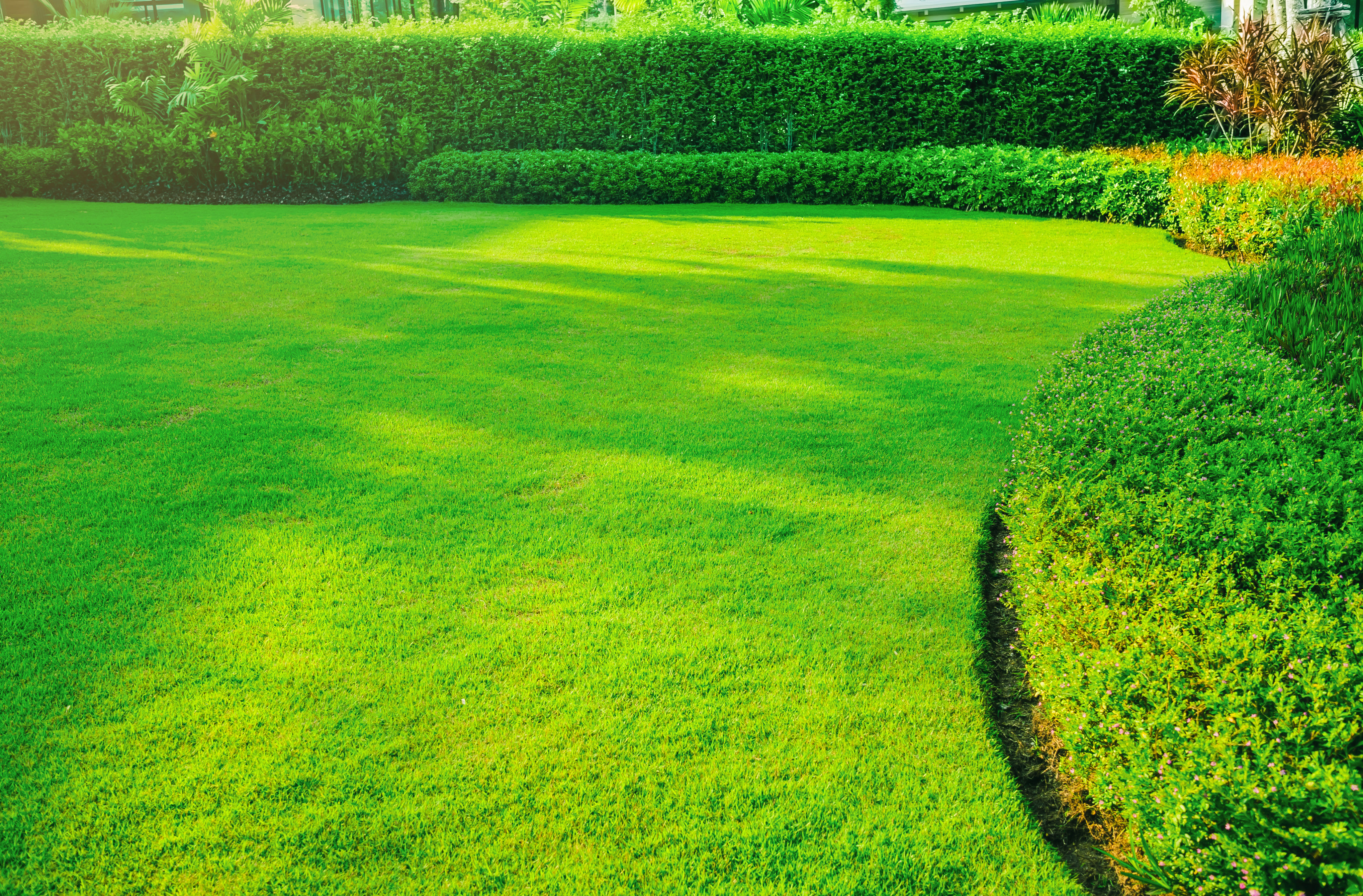 Yard Prep Services in Commerce, GA | F&S Land Services