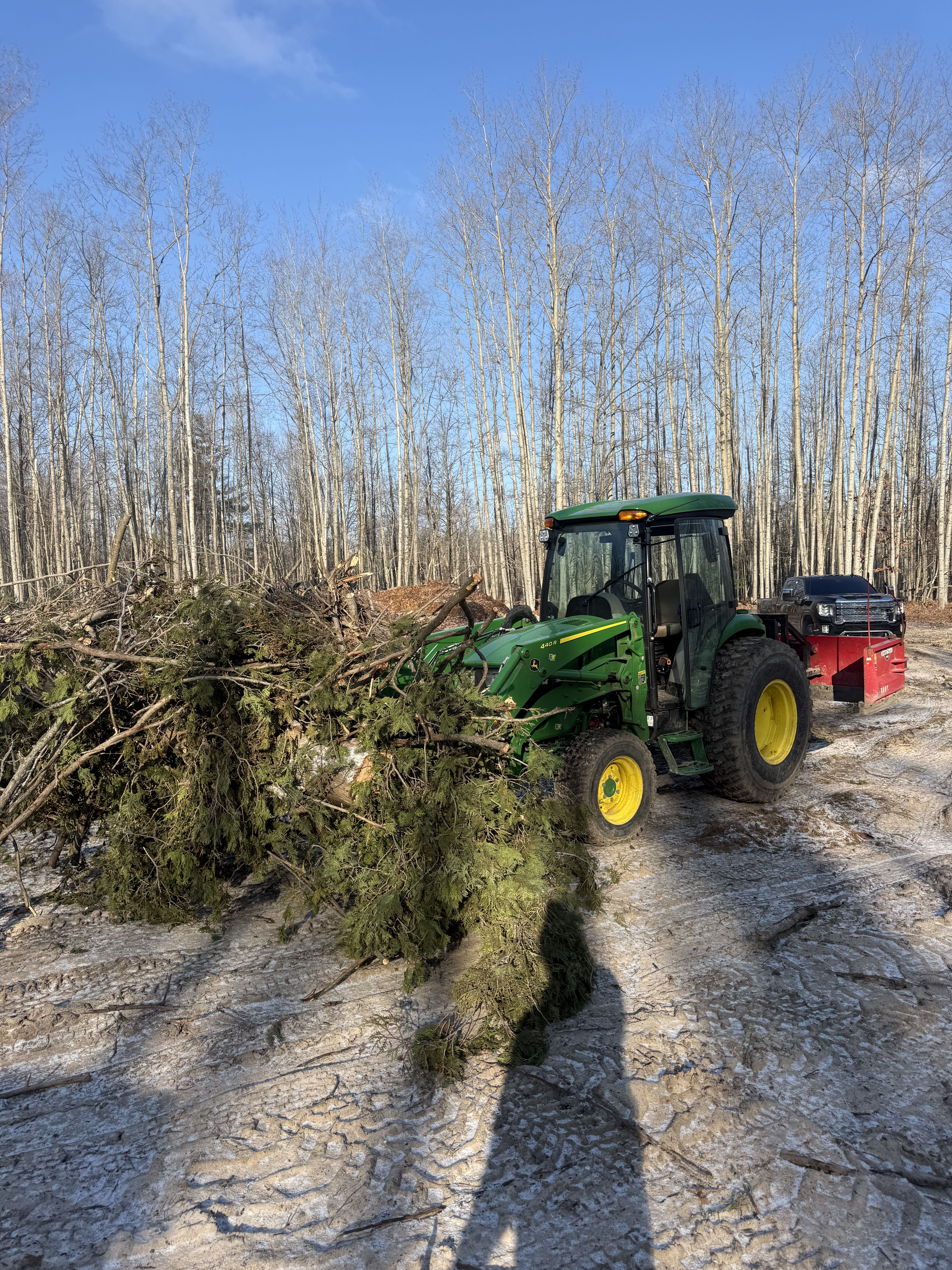Tree Removal and Lot Clearing - No Job Too Big or Too Messy | Clean Cut ...