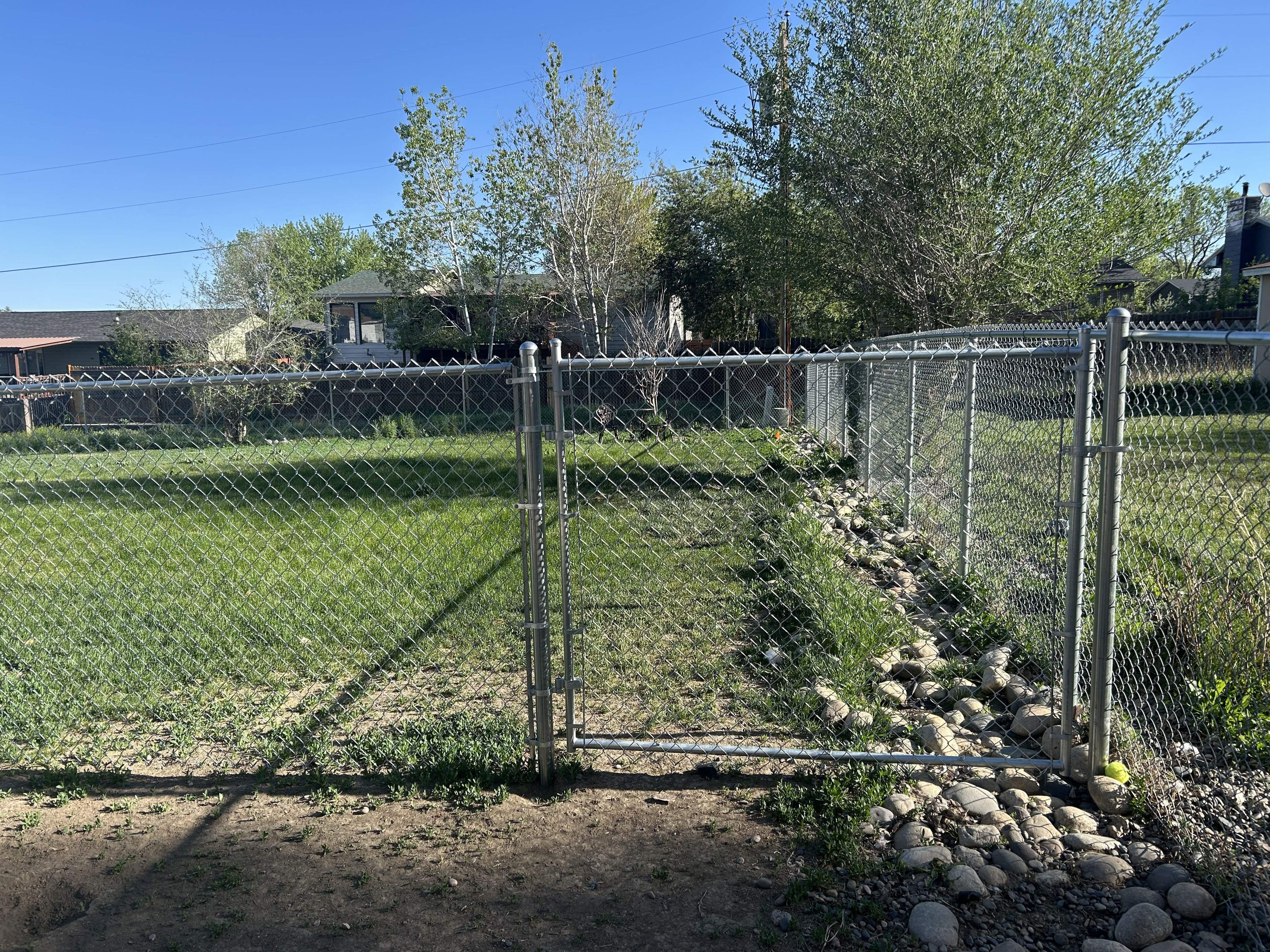5-Foot Chain Link Fence and Gate Built for Dog Separation in Lockwood ...
