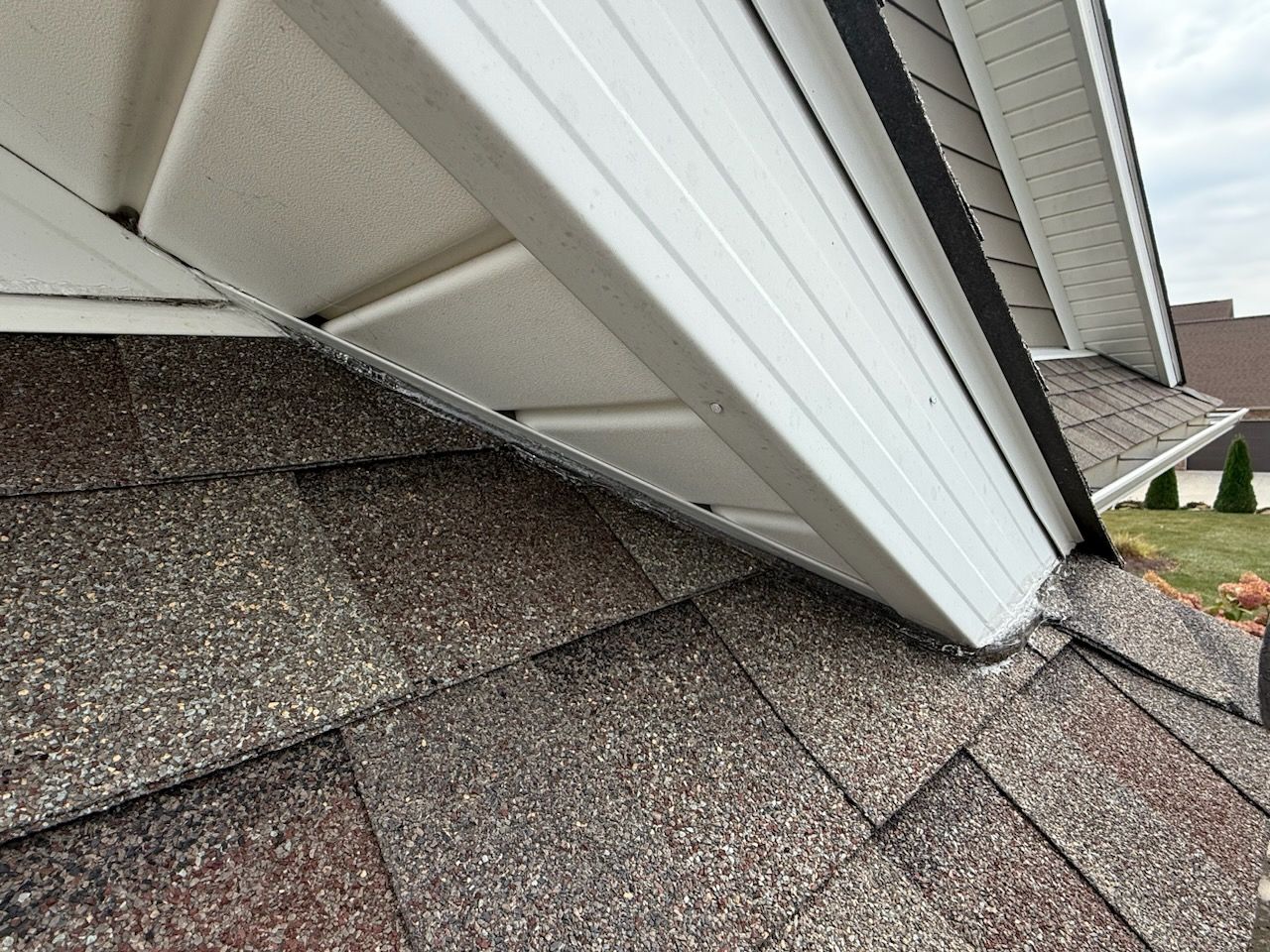 Effective Bat Exclusion for Safe Homes | Green Valley Wildlife ...