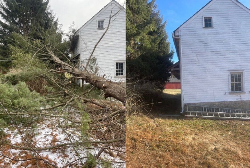 Safe and Efficient Tree Removal for a Clean Yard | Alderfer Tree LLC