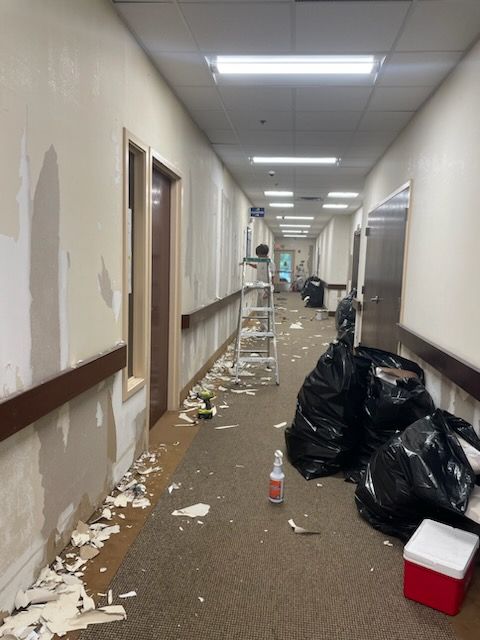 Mesmerizing Providence Paint Company Capture in 4K Mesmerizing Providence Paint Company Capture in 4K