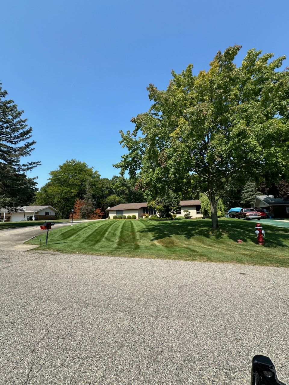 Transform Your Yard with Expert Lawn Care | CMT Lawn and Landscape LLC